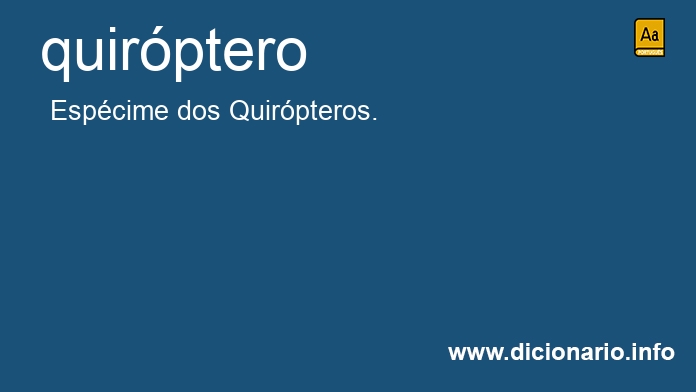 Significado de quirptera