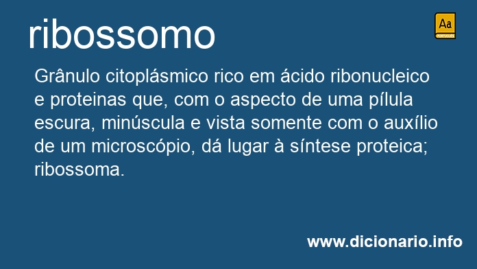 Significado de ribossomo