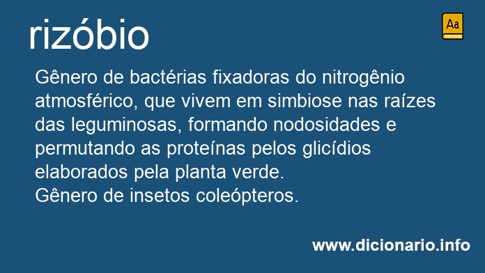 Significado de rizbio