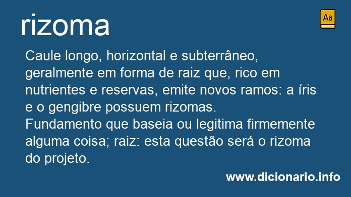 Significado de rizoma