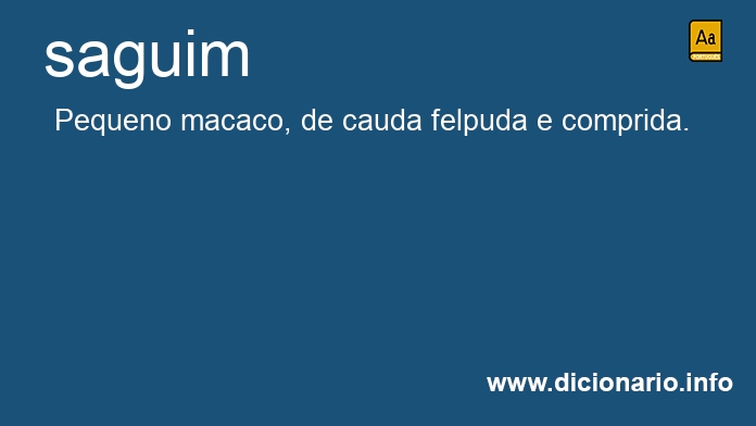 Significado de saguim