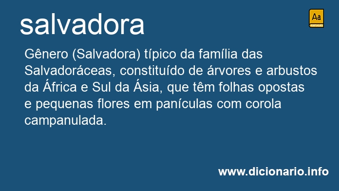 Significado de salvadora