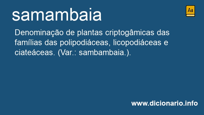 Significado de samambaia