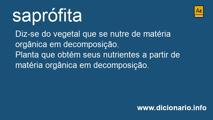 Significado de saprfita