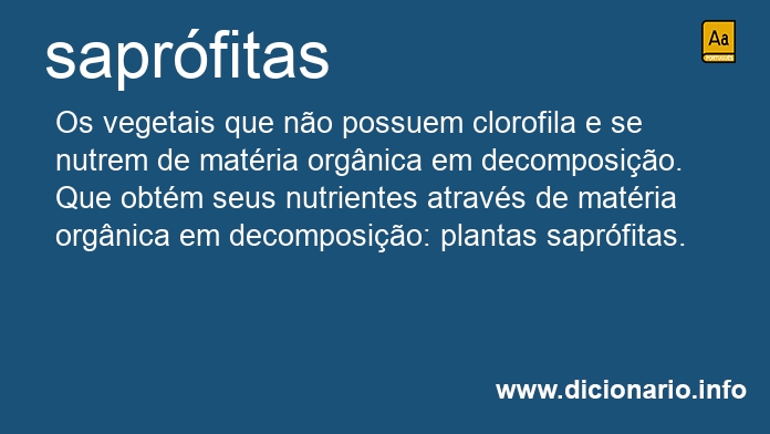 Significado de saprfitas