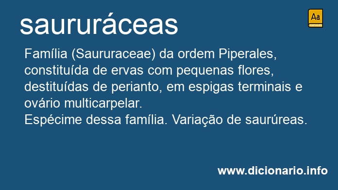 Significado de saururceas