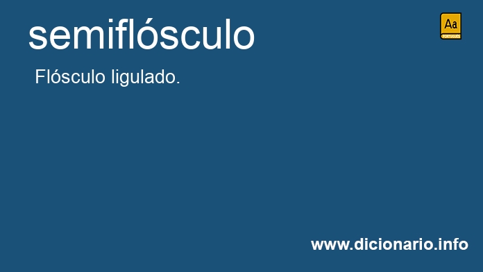 Significado de semiflsculo