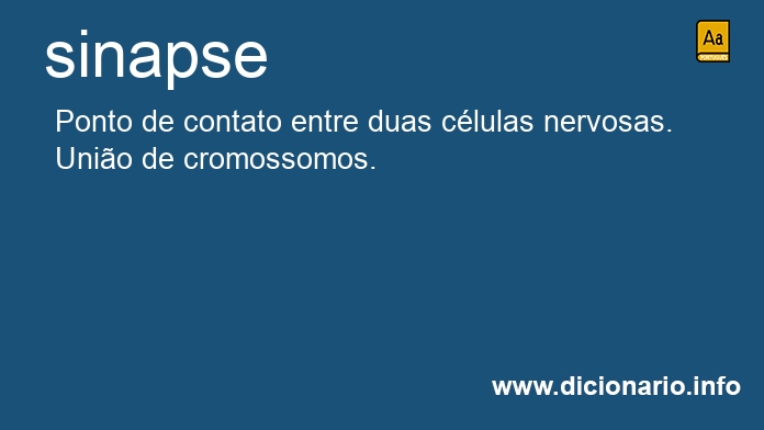 Significado de sinapse