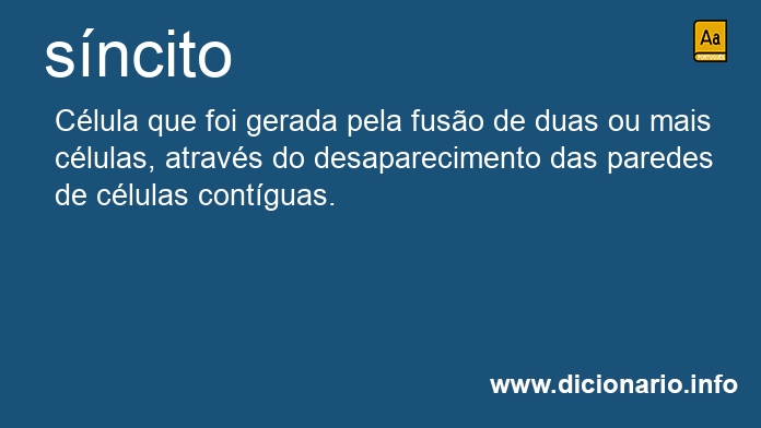 Significado de sncito