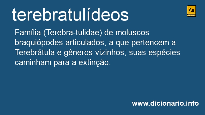 Significado de terebratuldeos