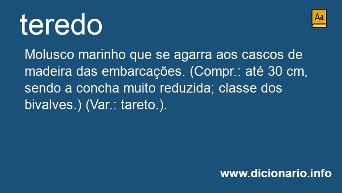 Significado de teredo