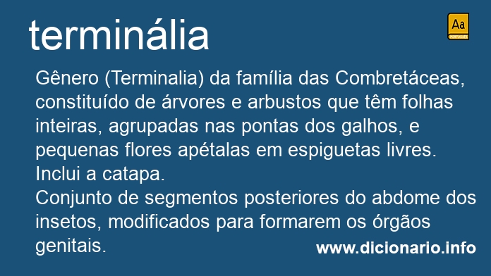 Significado de terminlia