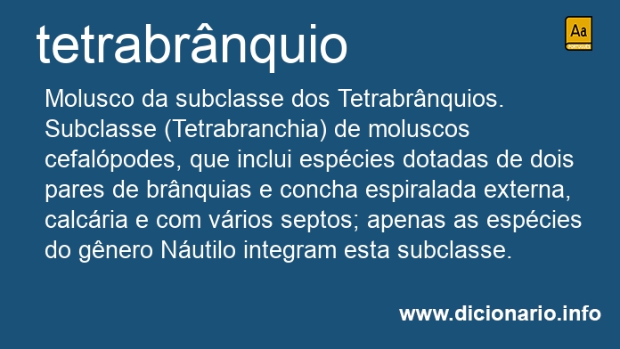 Significado de tetrabrnquio