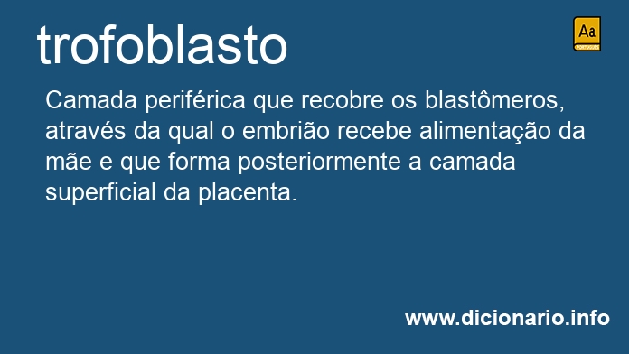 Significado de trofoblastos