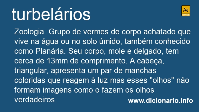 Significado de turbelrios
