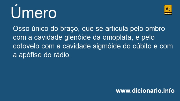 Significado de mero