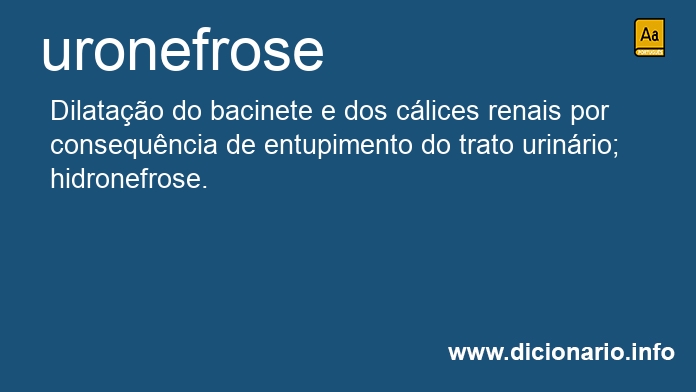 Significado de uronefrose