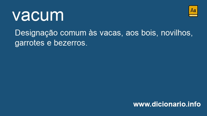 Significado de vacum