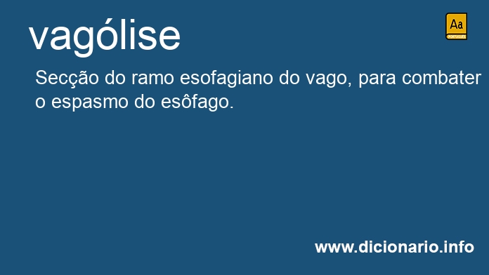 Significado de vaglise