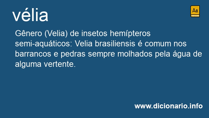 Significado de vlia