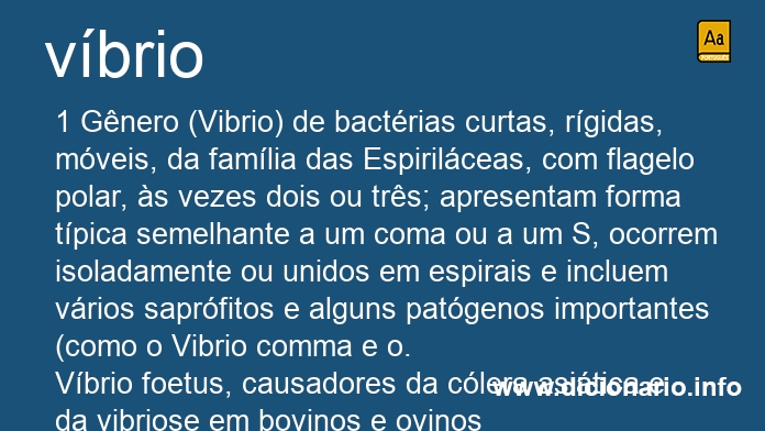 Significado de vbrio