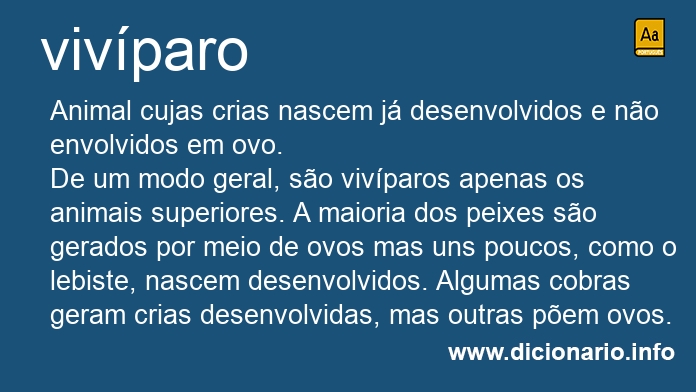 Significado de vivparo