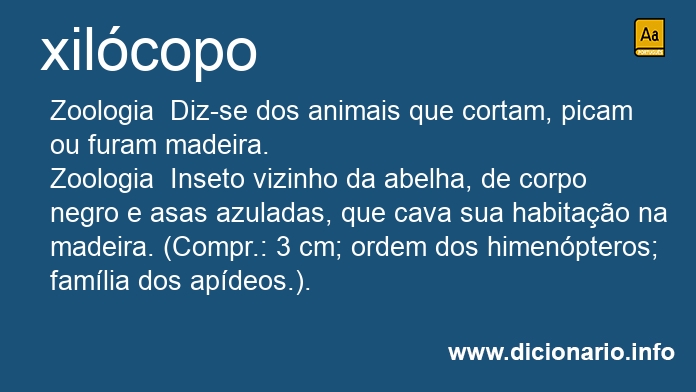 Significado de xilcopo