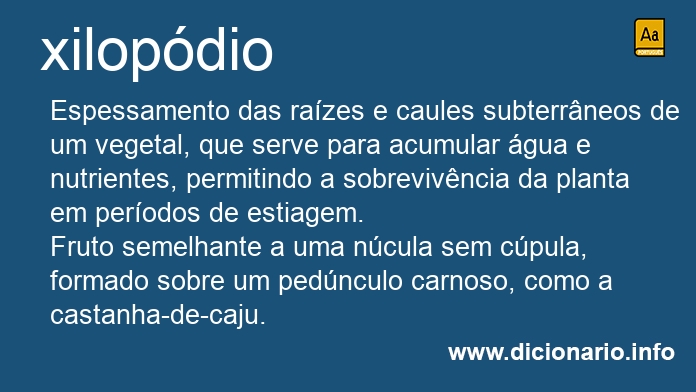 Significado de xilopdio