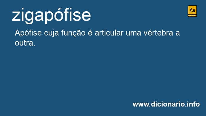Significado de zigapfise