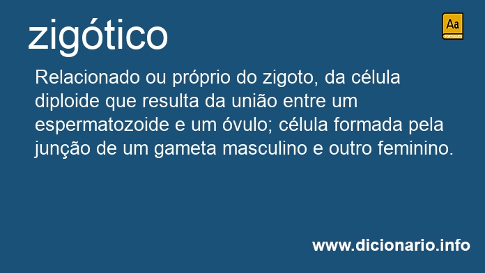 Significado de zigtica