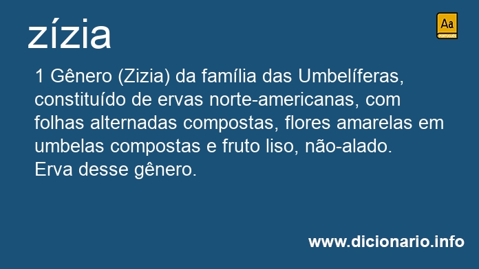Significado de zzia